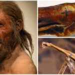 Descubre lo que han revelado los tatuajes de Ötzi, el hombre de los hielos