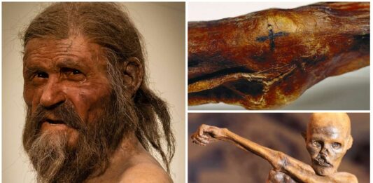 Descubre lo que han revelado los tatuajes de Ötzi, el hombre de los hielos