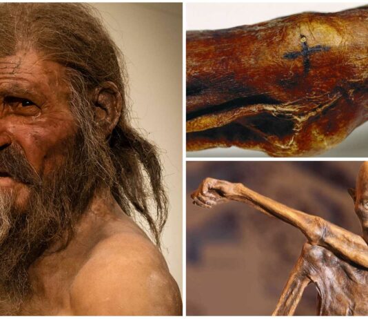 Descubre lo que han revelado los tatuajes de Ötzi, el hombre de los hielos