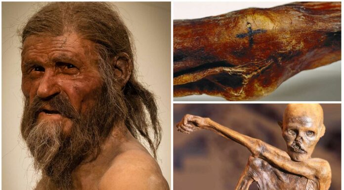 Descubre lo que han revelado los tatuajes de Ötzi, el hombre de los hielos