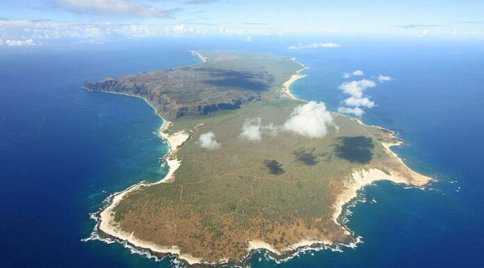 Niʻihau, la Isla Prohibida de Hawai | ¿Qué hay en ella? ¡Descúbrelo!