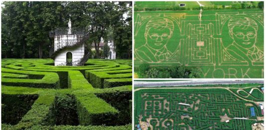 10 Laberintos Difíciles reales para mentes despiertas | ¿Te atreves?