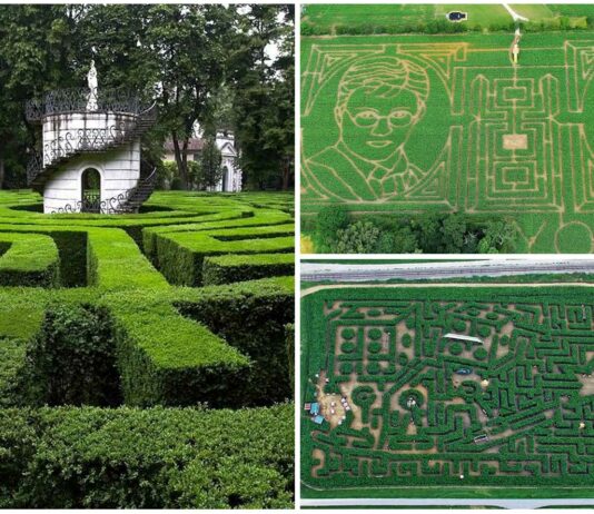 10 Laberintos Difíciles reales para mentes despiertas | ¿Te atreves? 10 Laberintos Difíciles reales para mentes despiertas | ¿Te atreves?