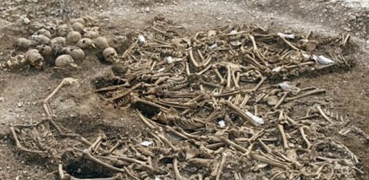 Restos de 50 Vikingos decapitados en Inglaterra | ¿Qué les ocurrió?