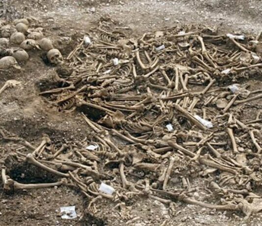Restos de 50 Vikingos decapitados en Inglaterra | ¿Qué les ocurrió? Restos de 50 Vikingos decapitados en Inglaterra | ¿Qué les ocurrió?