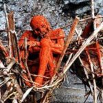20 Curiosidades de Papúa Nueva Guinea | Datos curiosos del país