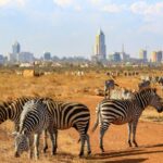 curiosidades-de-kenia-nairobi