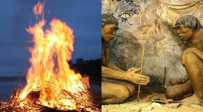 Descubrimiento del Fuego | El Origen del Fuego, Historia y Curiosidades