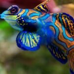 20 Peces Raros del Mundo | Especies que te asombrarán