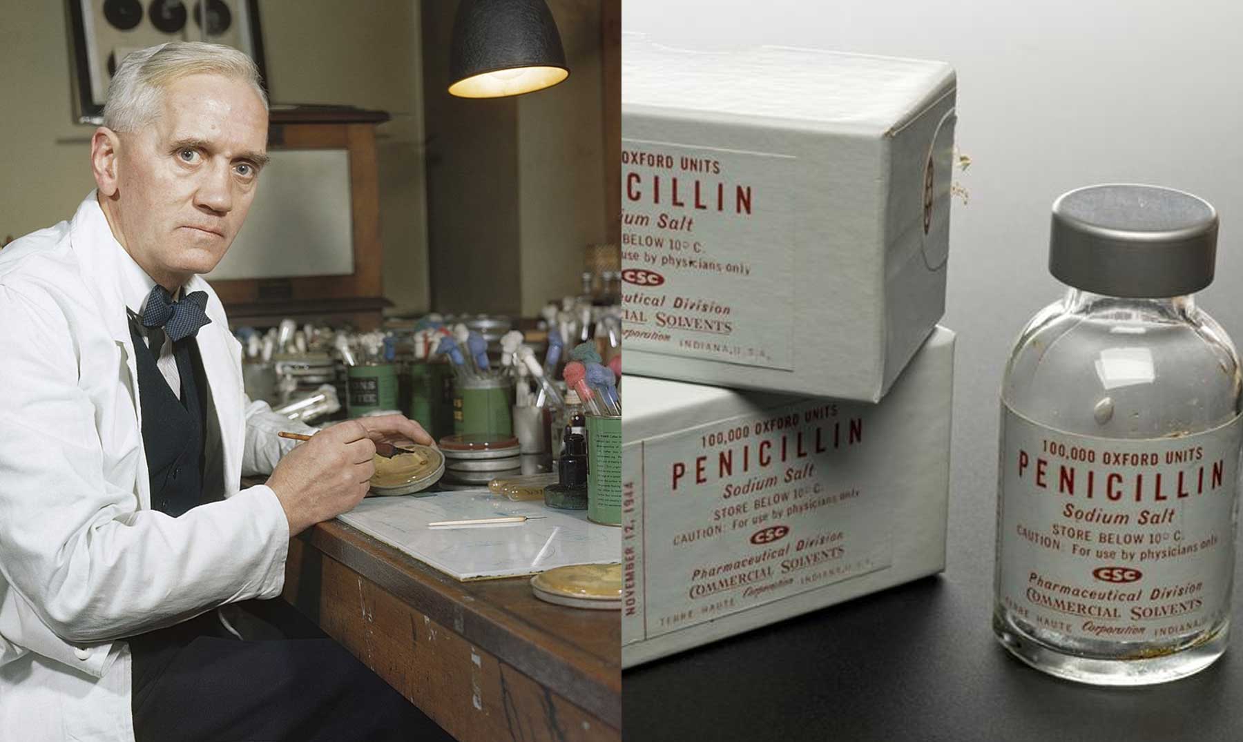 El asombroso legado de Alexander Fleming: Penicilina y su impacto en ...