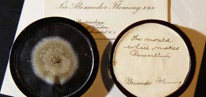Quién fue Alexander Fleming | Vida y Descubrimiento de la Penicilina