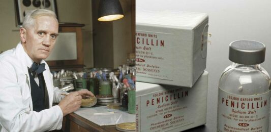 Quién fue Alexander Fleming, quién es Alexander Fleming