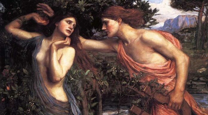 El Mito de Apolo y Dafne | Amor en la Mitología Griega
