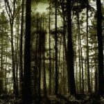 Películas de Fantasmas | Para una Sesión de Cine Terrorífica