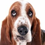 AdobeStock_118169685-min