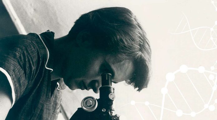 Quién fue Rosalind Franklin | La mujer tras la estructura del ADN 1