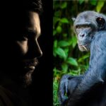 Chimpancés y Humanos, ¿qué es lo que nos hace diferentes?