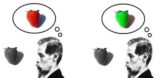 Qualia: la subjetividad de nuestras percepciones | ¿Lo habías pensado?