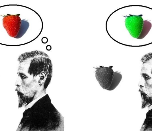 Qualia: la subjetividad de nuestras percepciones | ¿Lo habías pensado? Qualia: la subjetividad de nuestras percepciones | ¿Lo habías pensado?