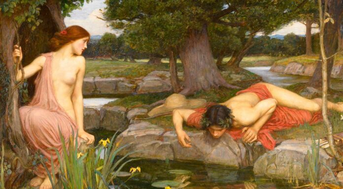 Mito de Eco y Narciso | La flor que brotó de un amor imposible