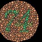 Daltonismo | 10 Curiosidades que quizá desconocías