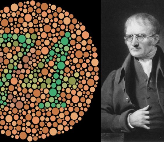 Daltonismo | 10 Curiosidades que quizá desconocías Daltonismo | 10 Curiosidades que quizá desconocías