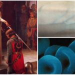 Sangre Azul | ¿Por qué se dice de los nobles que tienen sangre azul?