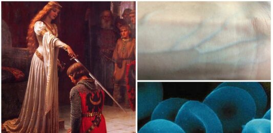Sangre Azul | ¿Por qué se dice de los nobles que tienen sangre azul? Sangre Azul | ¿Por qué se dice de los nobles que tienen sangre azul?