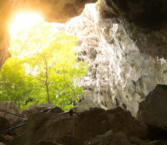 El Mito de la Caverna de Platón | Las Sombras de la Realidad El Mito de la Caverna de Platón | Las Sombras de la Realidad
