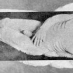El Gigante de Cardiff | Uno de los engaños más curiosos de la historia