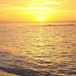 10 Curiosidades de Jamaica | Sorpréndete con este país