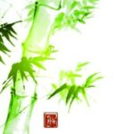 AdobeStock_261467900 (1)-min