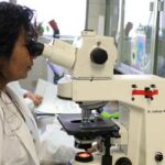 Qué es el Efecto Matilda | 5 Mujeres Científicas que lo sufrieron