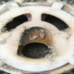 Apofenia | La búsqueda de patrones en información aleatoria