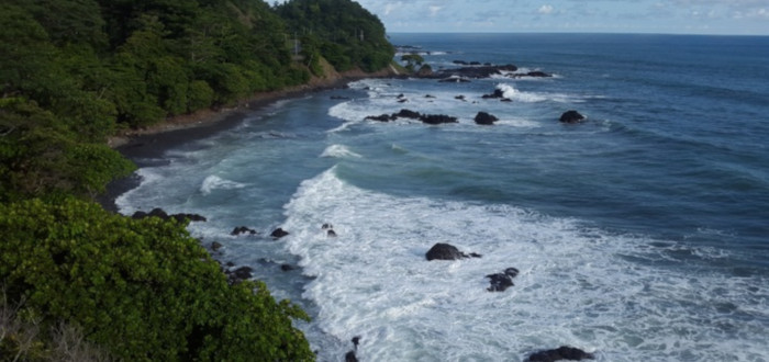 Curiosidades da praia da Costa Rica