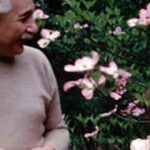 Carta de Einstein a su Hija | Otras particularidades