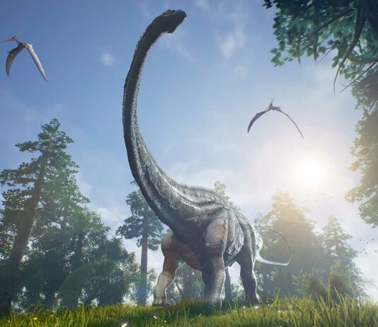 Las Aves son Dinosaurios | Te damos la respuesta