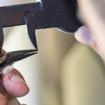 Las Aves son Dinosaurios. Te damos la respuesta. 1