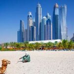 Todo lo que debes saber si viajas a Dubái. 1