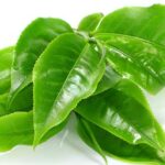 los beneficios del te verde. 1