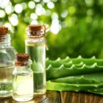 Curiosidades de las plantas medicinales ¡Descúbrelas!