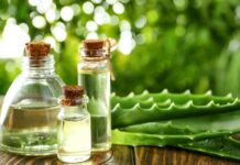 Curiosidades de las plantas medicinales | ¡Descúbrelas! Curiosidades de las plantas medicinales ¡Descúbrelas!