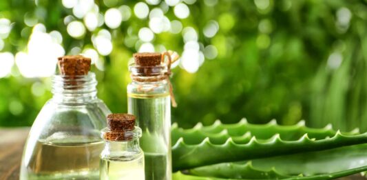 Curiosidades de las plantas medicinales ¡Descúbrelas!