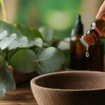 Curiosidades de las plantas medicinales. 2