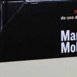 Quién fue María Moliner | La mujer que con un lápiz escribió un diccionario