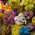 Rosa de Jericó | La leyenda de la planta con poder de Resurrección