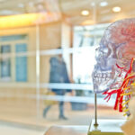 Programación Neurolingüística