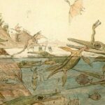 Mary Anning. La primera paleontóloga reconocida..