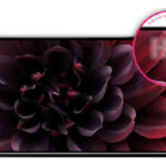 QLED SAMSUNG PANTALLA (1)
