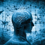 Qué es la neurociencia. Cómo se comporta nuestra mente